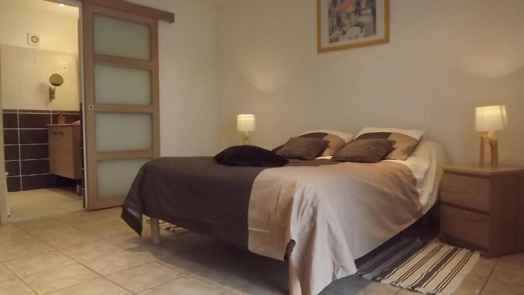 Chambres D'Hotes- Le Pre Aux Anes Albon Værelse billede